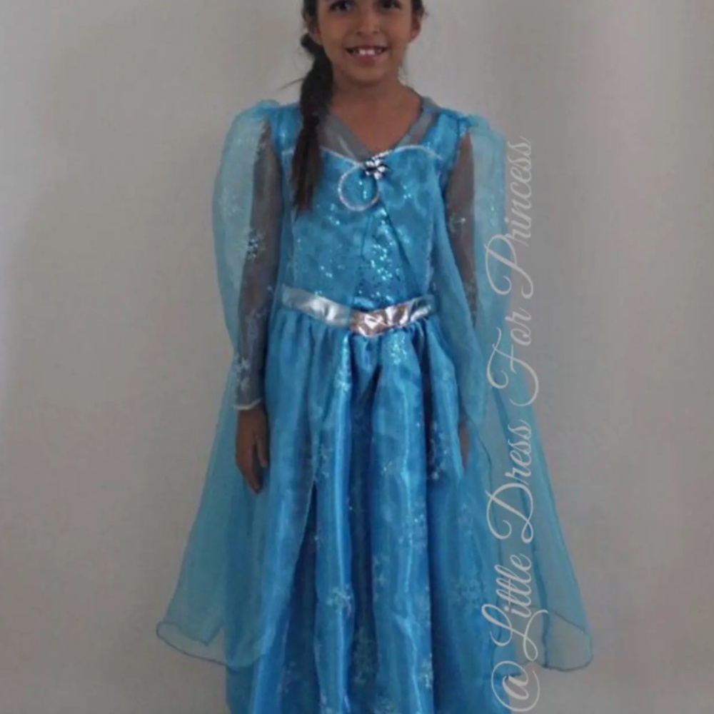 Disney Princess Elsa Inspired Costume
